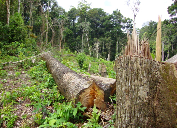 neilson2.jpg neilson2.jpg