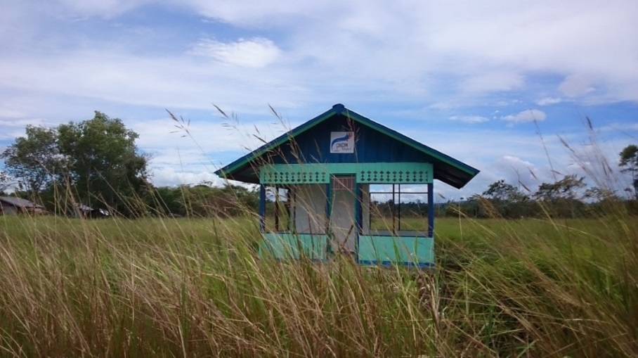 When village development fails